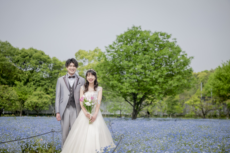 鮮やかなネモフィラ花壇で撮影スタート✿