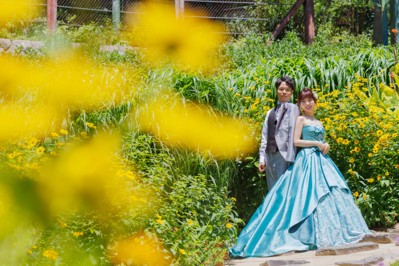 夏らしい黄色のお花と