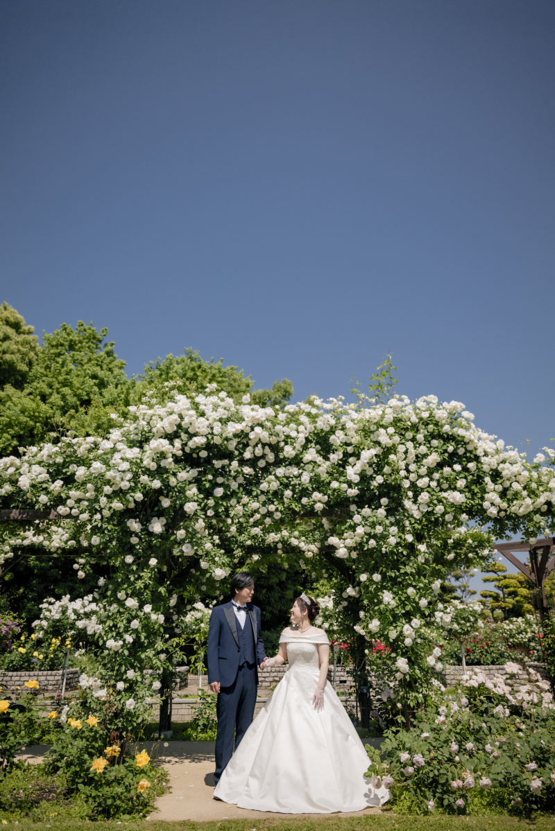 最後は青空とバラ園で！