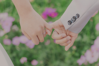 華やかなコスモス畑で撮影！【ロケーション＆スタジオ撮影】