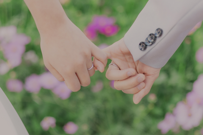 華やかなコスモス畑で撮影！【ロケーション＆スタジオ撮影】