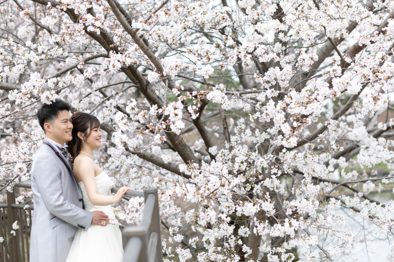 目の前に広がる景色