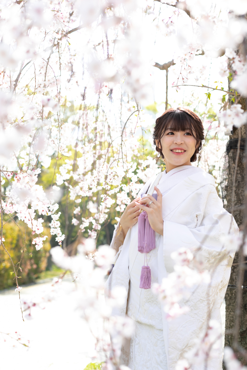 枝垂れ桜に囲まれて