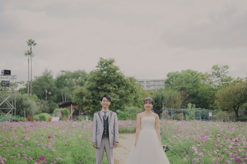 コスモス畑で撮影