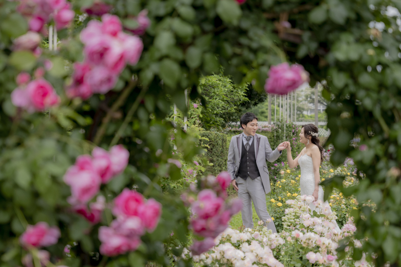 バラ園をお散歩