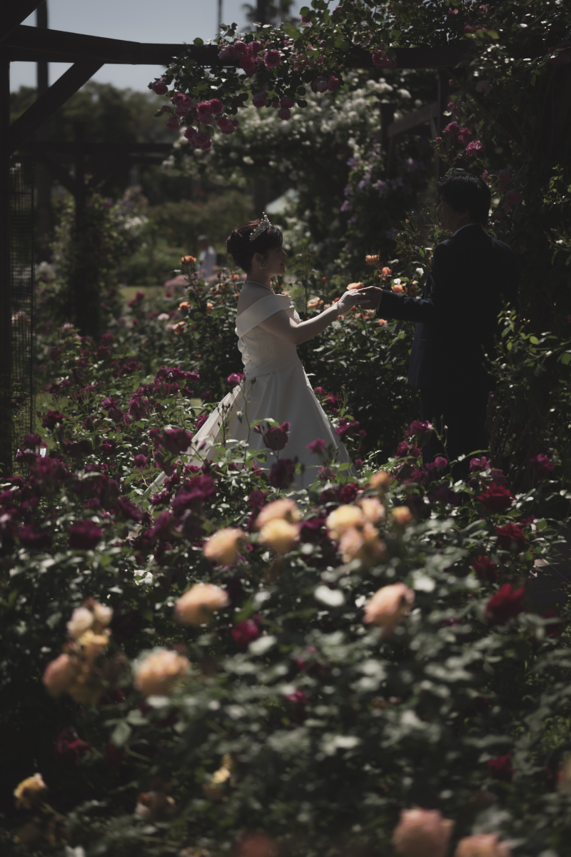 クールなお写真も忘れずに