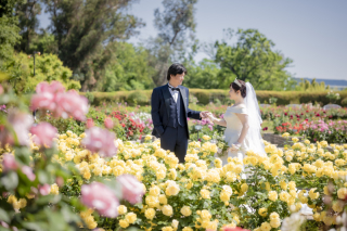 満開に咲くバラ園での撮影【洋装ロケーション撮影】