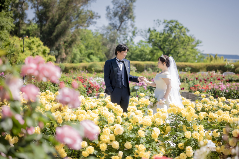 満開に咲くバラ園での撮影【洋装ロケーション撮影】