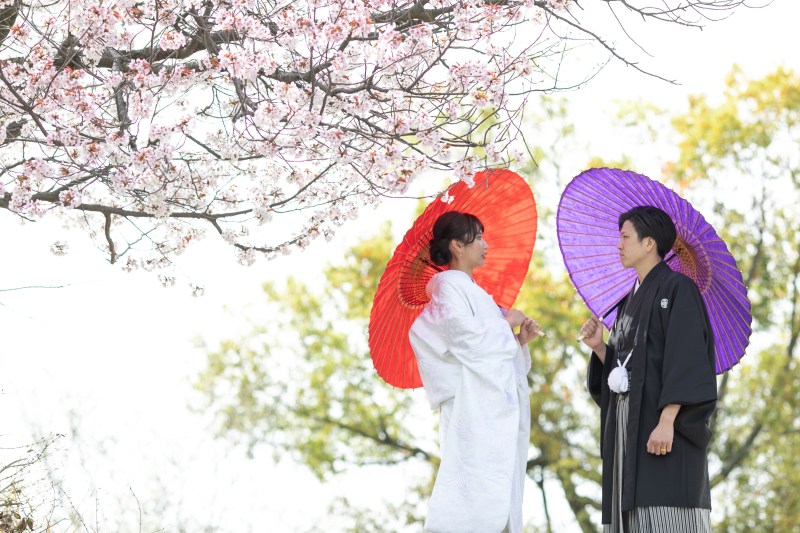 桜ロケ＆スタジオ撮影