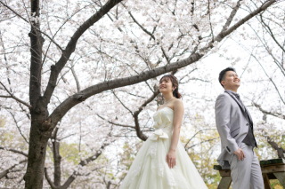 桜舞う鶴見緑地公園