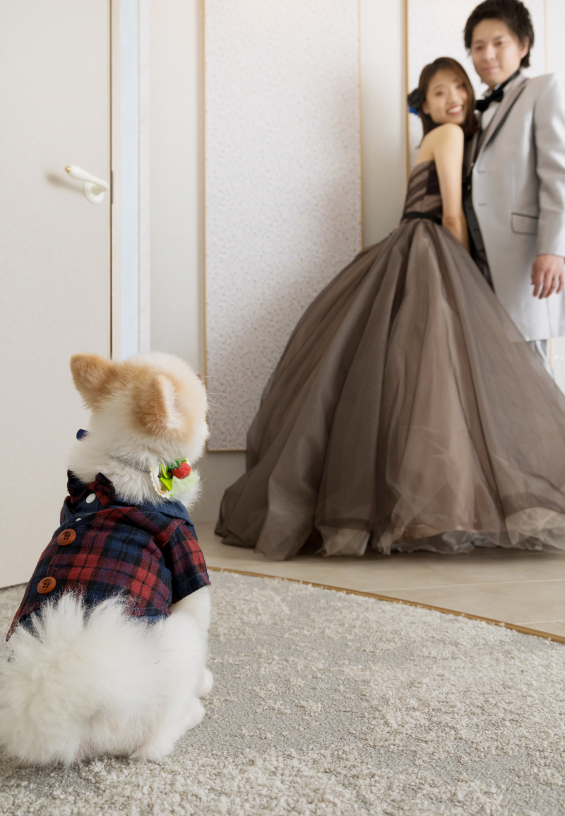 撮影を見届けます♪