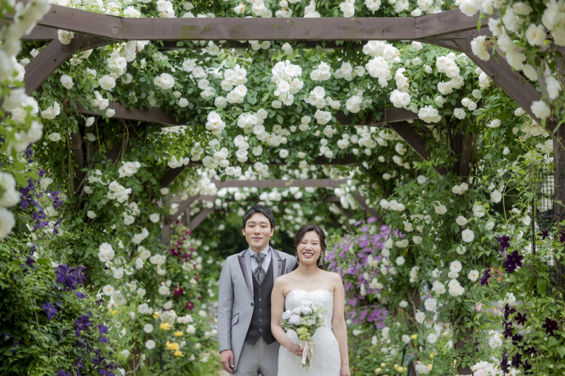 満開のバラ園【ロケーション&スタジオ撮影】