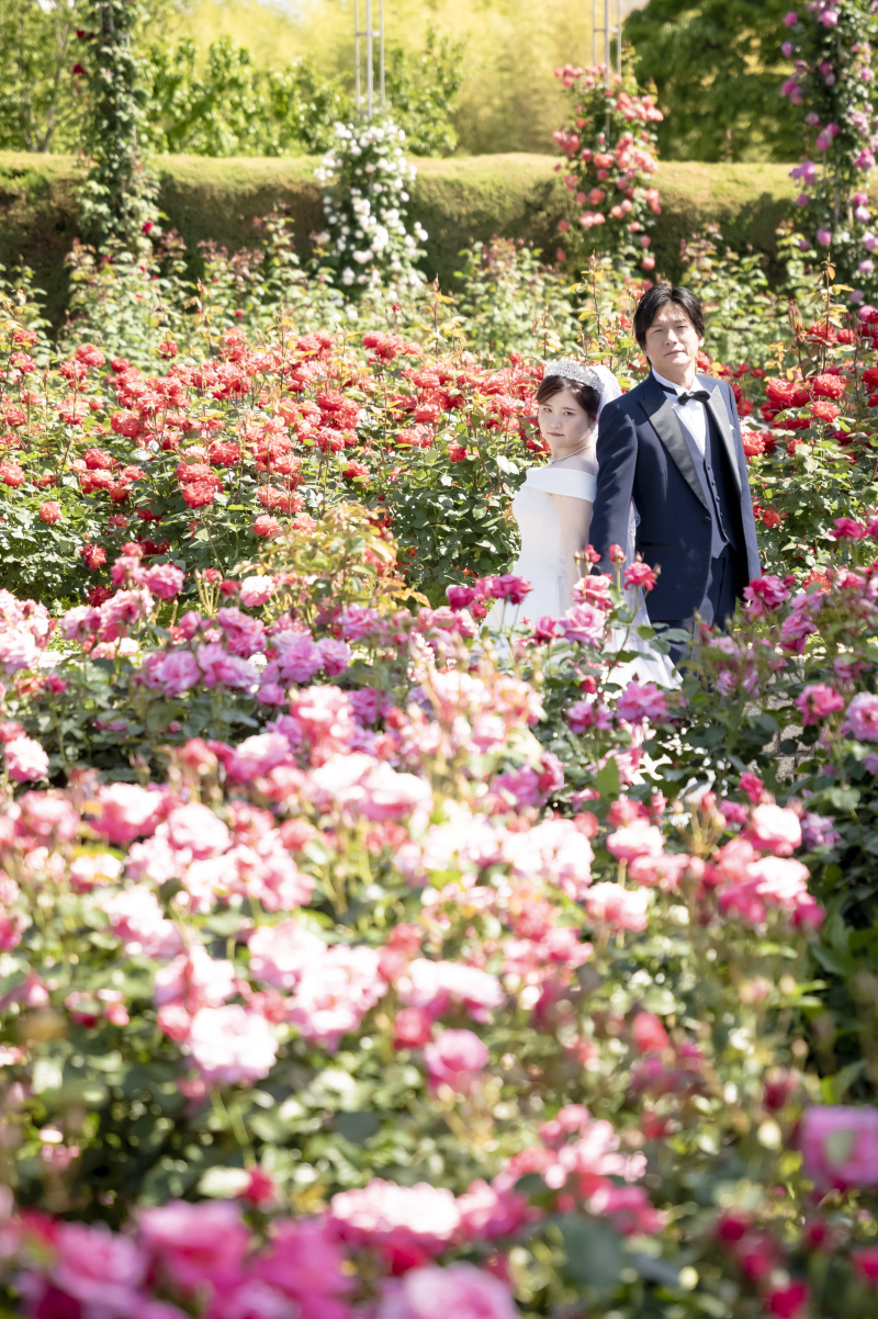 赤やピンクのバラに囲まれて♪