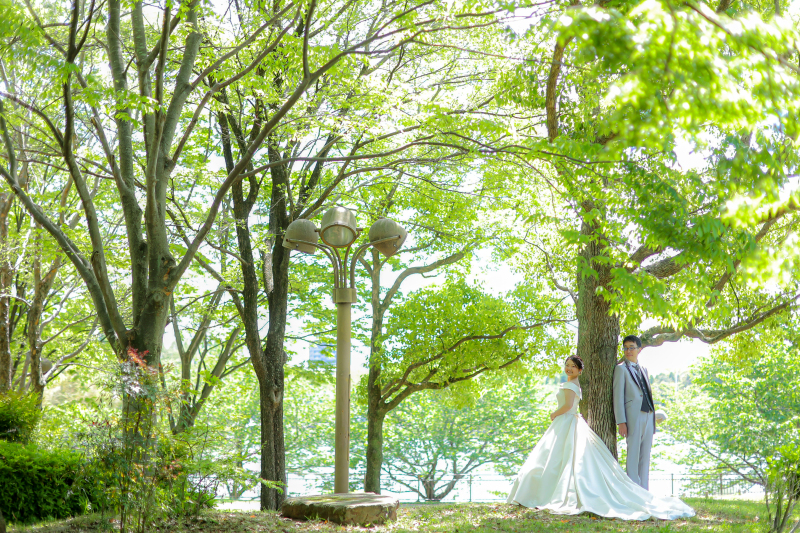 大きな樹の下で