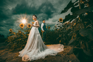 LOCATION -sunflower-