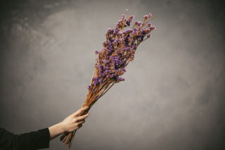 ブーケレンタル③