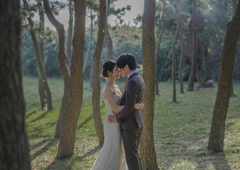 松の木が茂む森エリアも