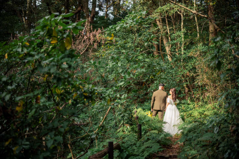 自然のスポットライト