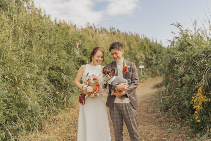 ペット撮影も可能なんです!