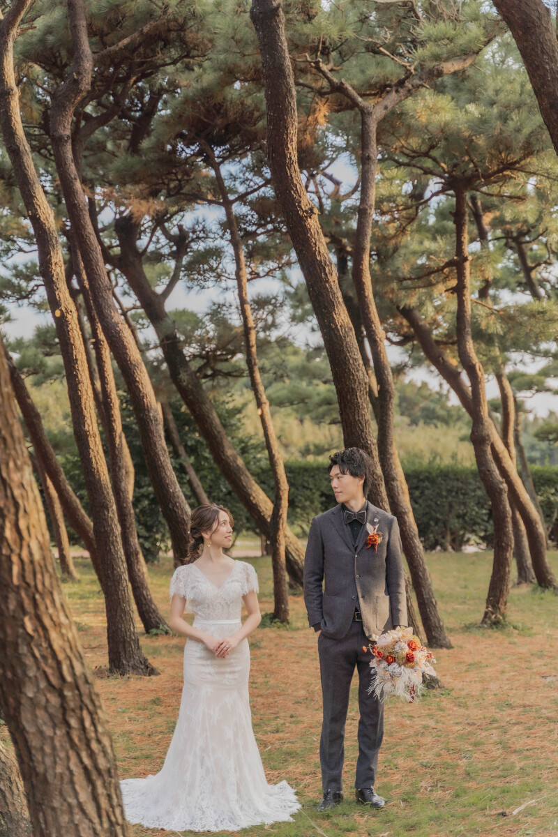 松の木と一緒に