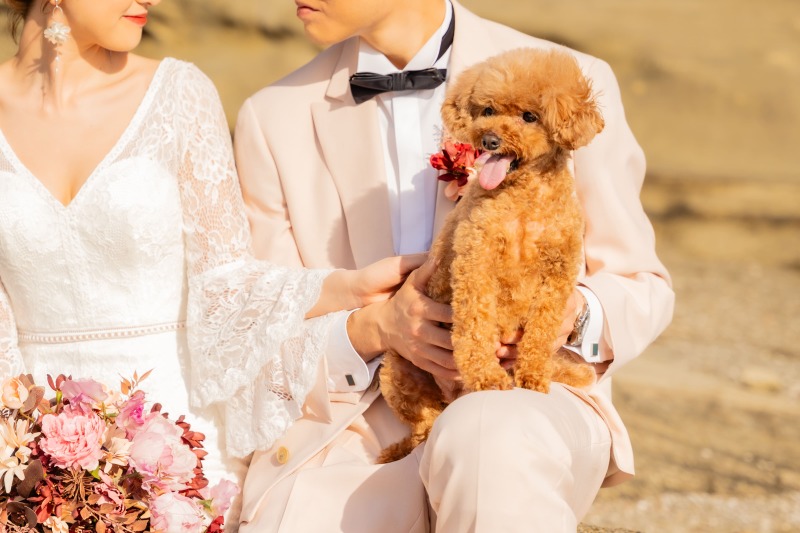 SHIENA studio_ペットと一緒に撮影できる