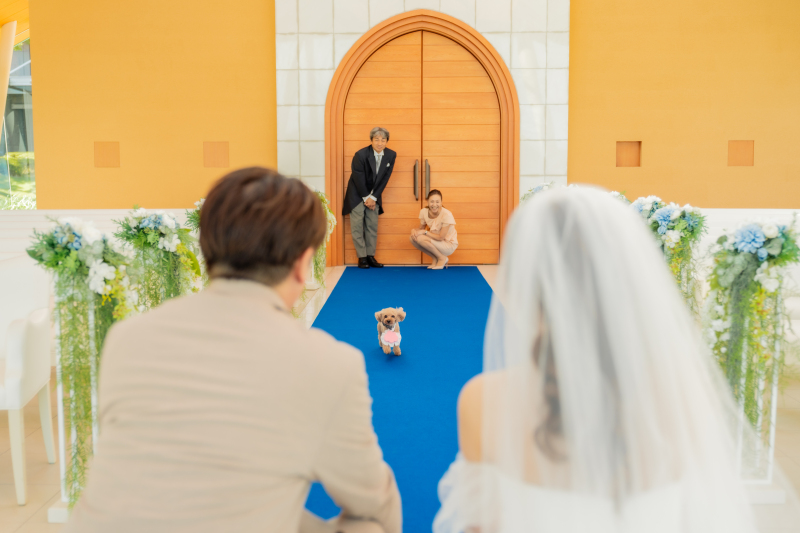 なんとワンちゃんとの撮影も出来るんです♪