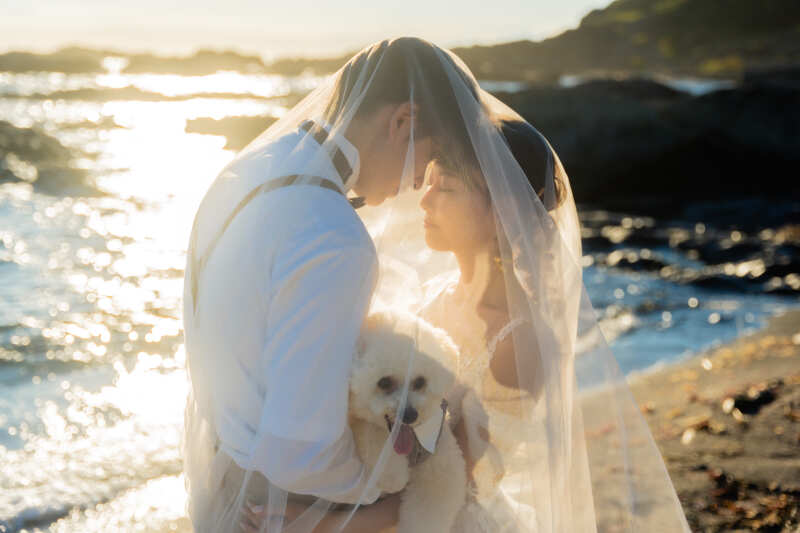 SHIENA studio_ペットと一緒に撮影できる