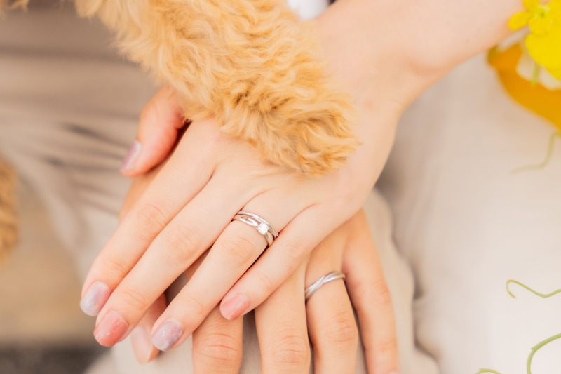 SHIENA studio_ペットと一緒に撮影できる