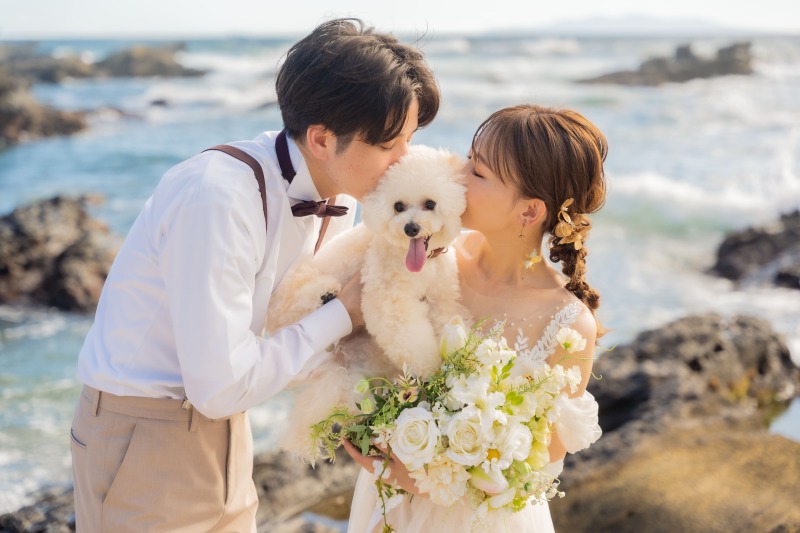 SHIENA studio_ペットと一緒に撮影できる