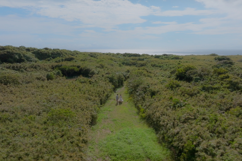 国交省認定機関のライセンスを保持しています