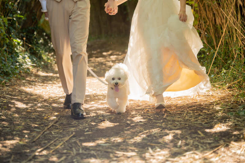 SHIENA studio_ペットと一緒に撮影できる