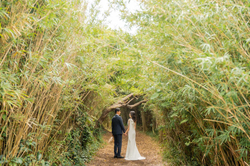 木漏れ日が美しい森エリア