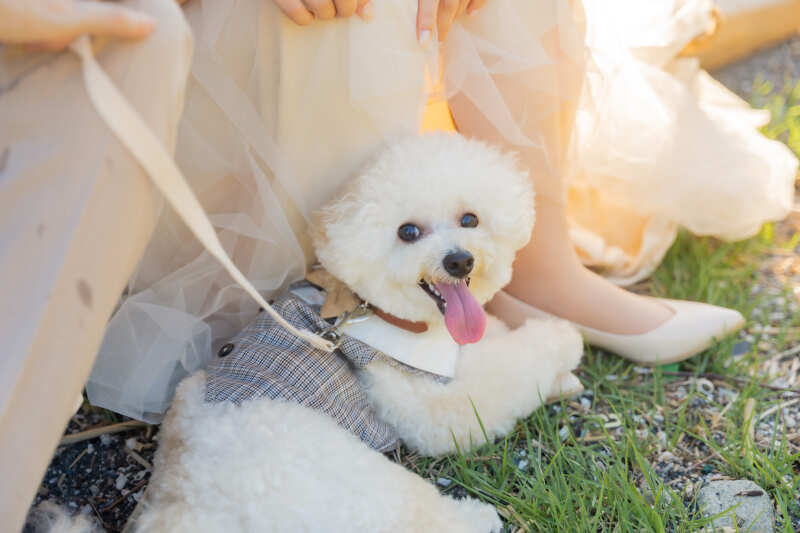 SHIENA studio_家族・友人を撮影に呼べる