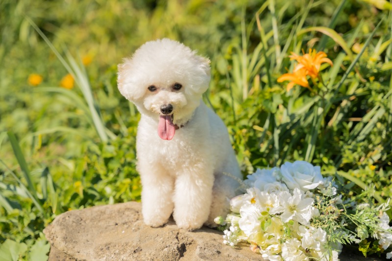 おやつタイムでご機嫌よく♪