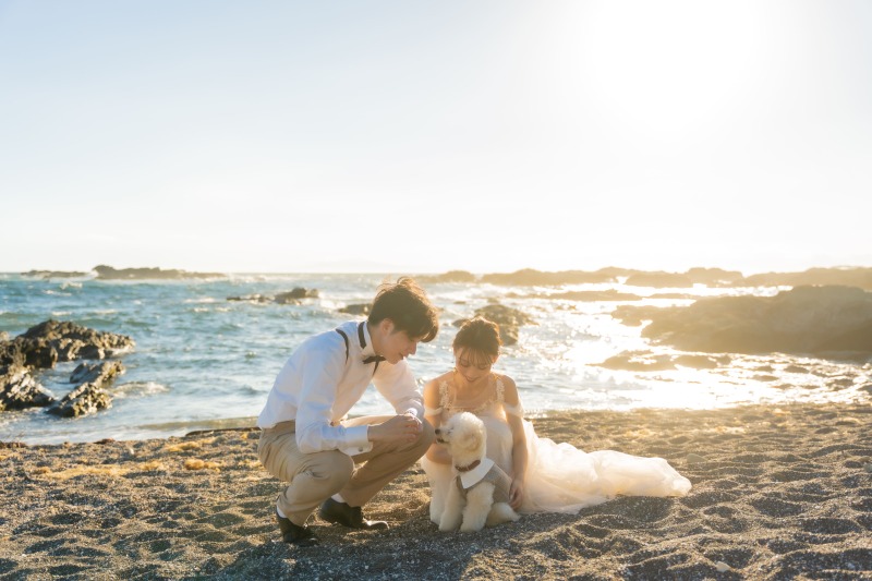 SHIENA studio_ペットと一緒に撮影できる