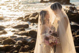 SHIENA studio_Manazuru【オープニングムービー】