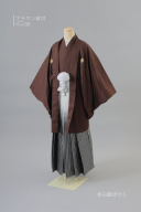 ブラウン紋付