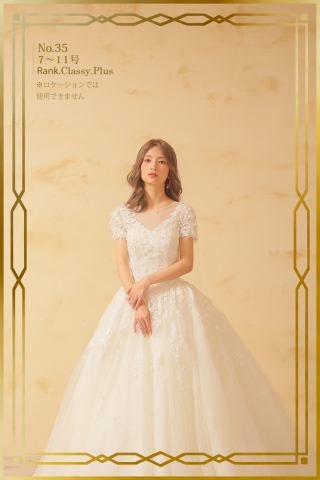ウェディングドレスNO35　半袖