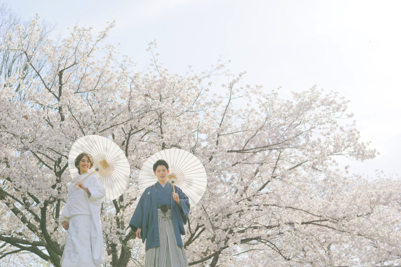 【空と桜と・・・】