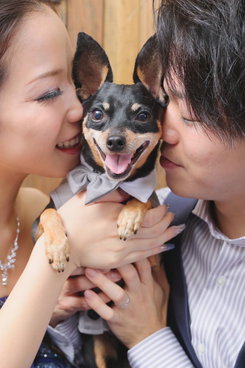 和洋装2着ランクフリープラン（ワンちゃんとの記念写真）