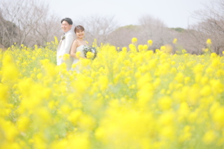 ☆スタ1ロケ１ランクフリープラン