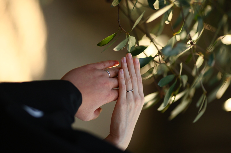 お手元のカット