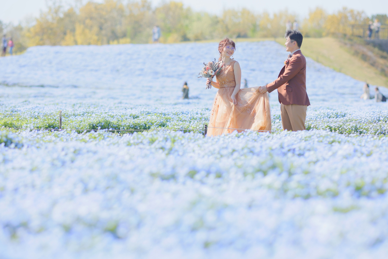 ネモフィラはまだまだこれから♪