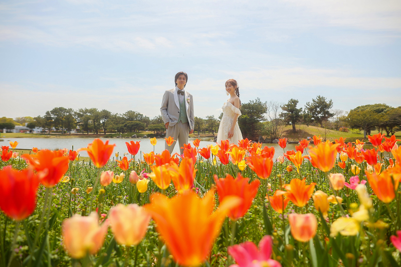 チューリップと