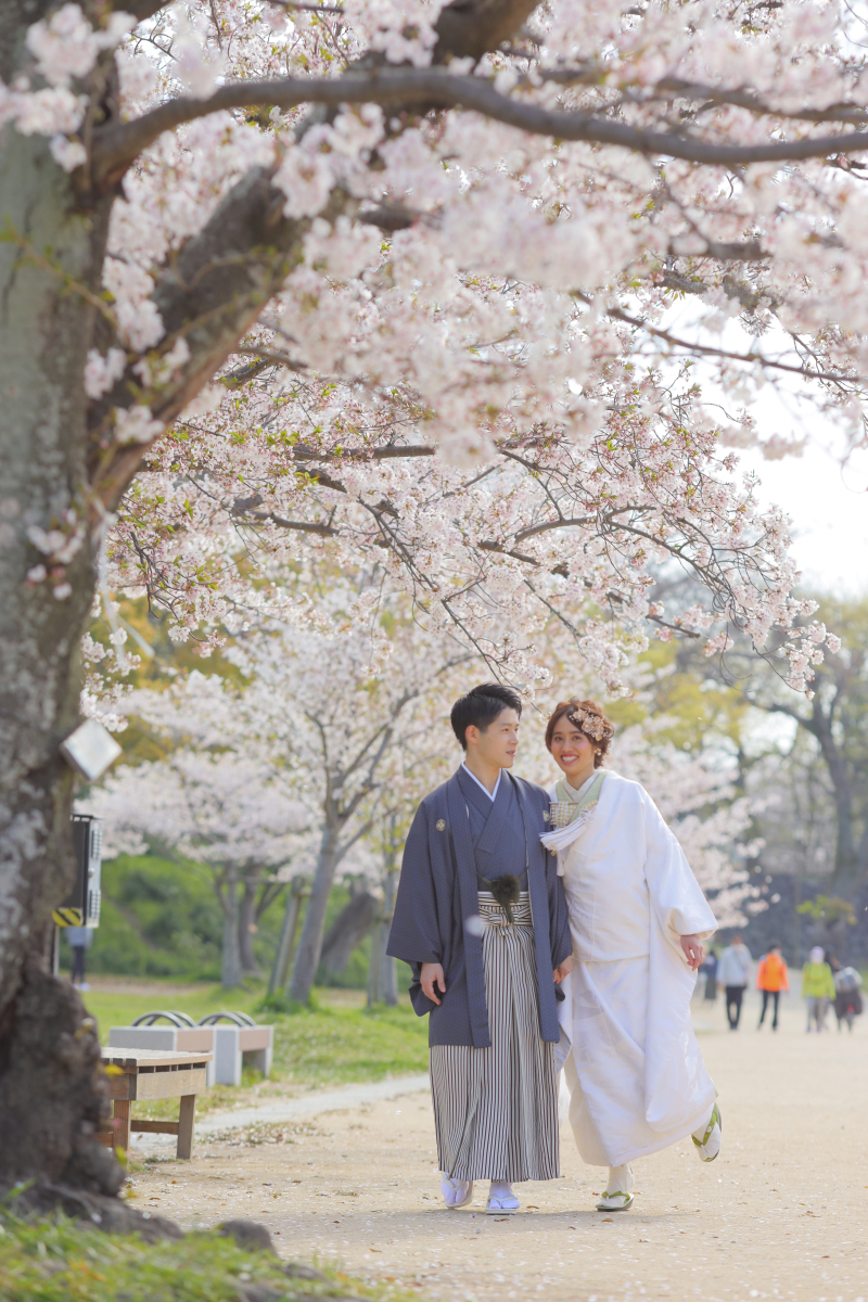 【ドンっと♪】