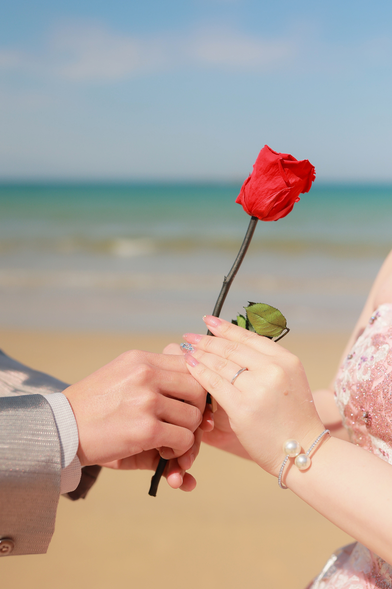 ロケーション2着ランクフリープラン【糸島・松風園】