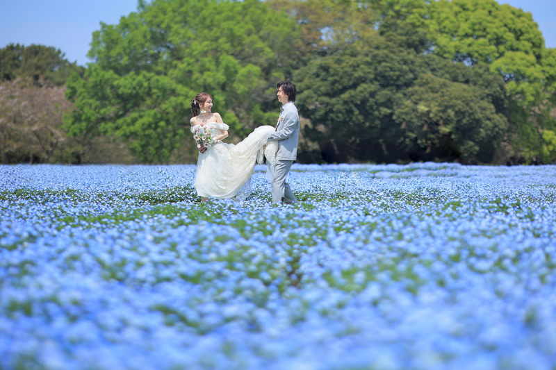 ネモフィラに囲まれて