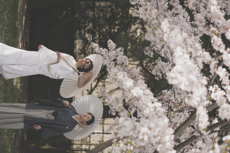 【少しクールな1枚】