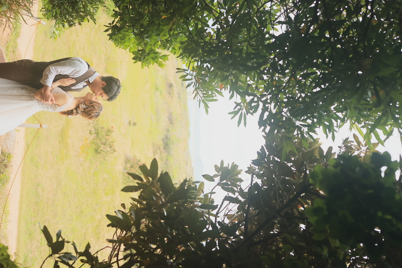 糸島・トトロの森