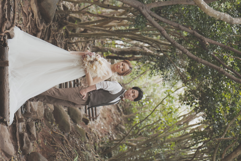 糸島・トトロの森